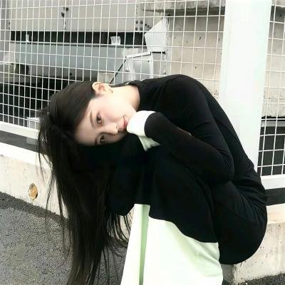 飞盘犬